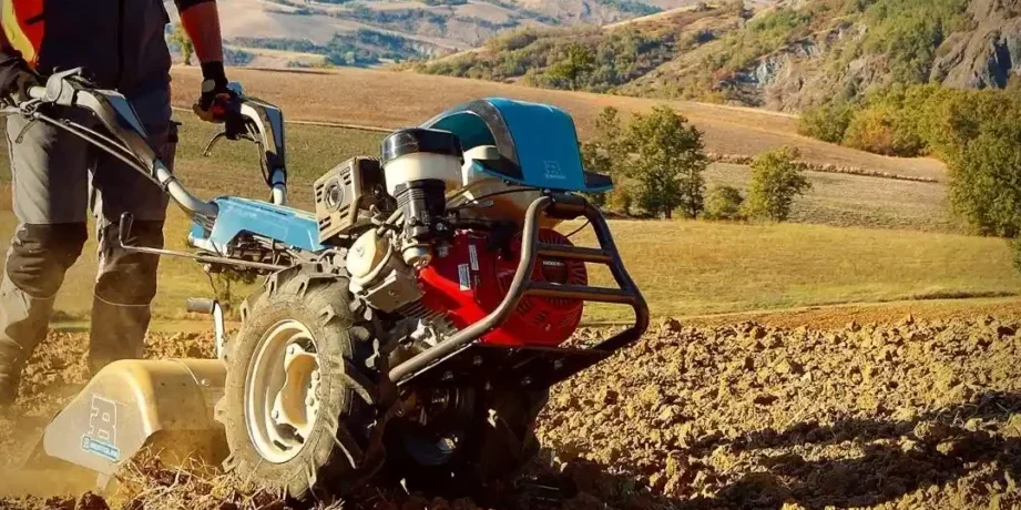 motocultores mollon segunda mano opciones