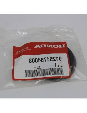 como arreglar un motocultor que se le ha pasado el aceite para la bujia