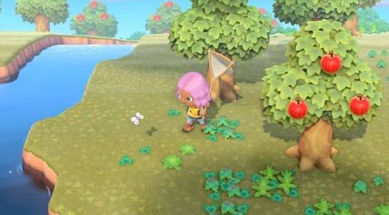 ¿Cómo plantar árboles de dinero en Animal Crossing: New Horizons?