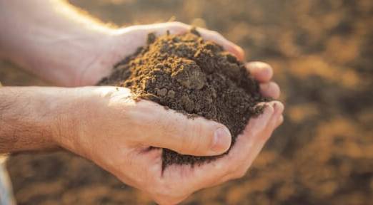 ¿Cómo saber si un suelo es apto para el cultivo?