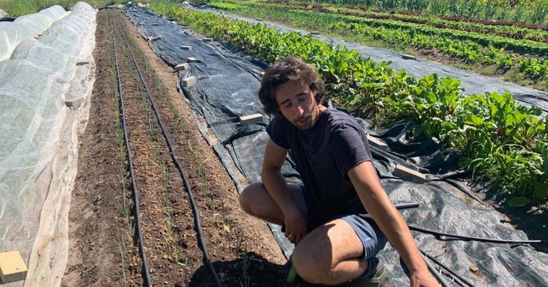 como se llama el conjunto de parcelas que cultiva un mismo agricultor