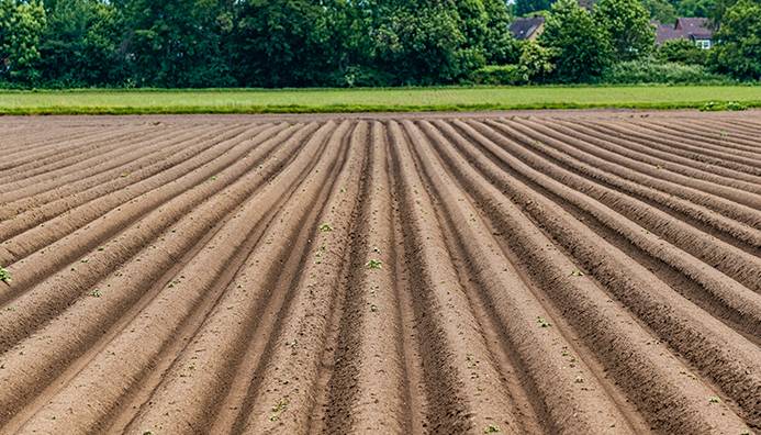 como se realiza el mantenimiento de la maquinaria y equipos agricolas
