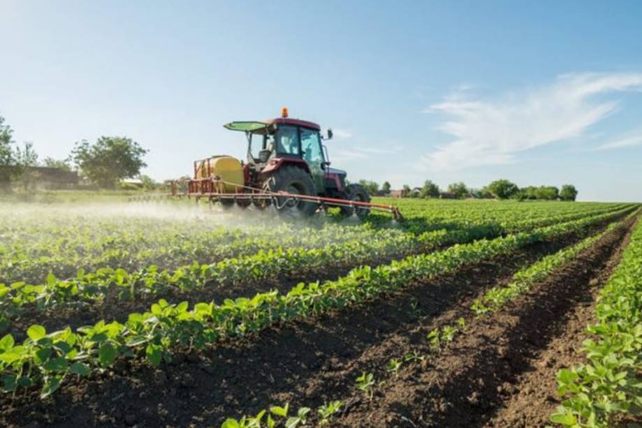 cual es la diferencia entre la cal agricola y la cal de construccion