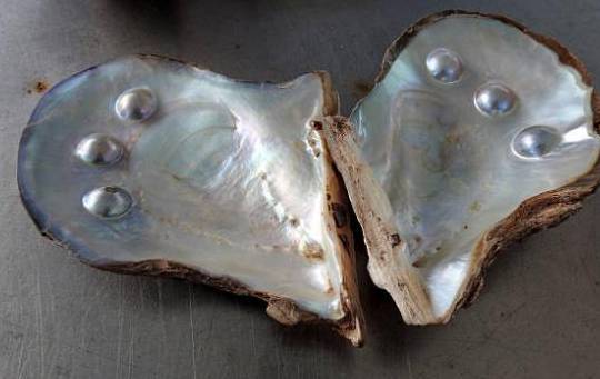 ¿Cuál es la diferencia entre las perlas cultivadas y las australianas?
