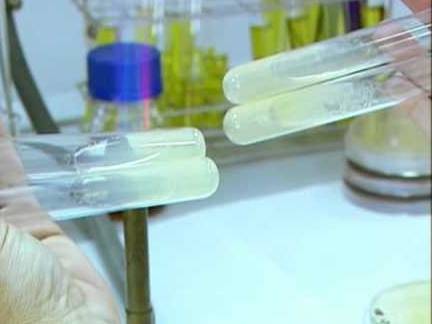 cuales son los medios de cultivo que no se esterilizan en autoclave