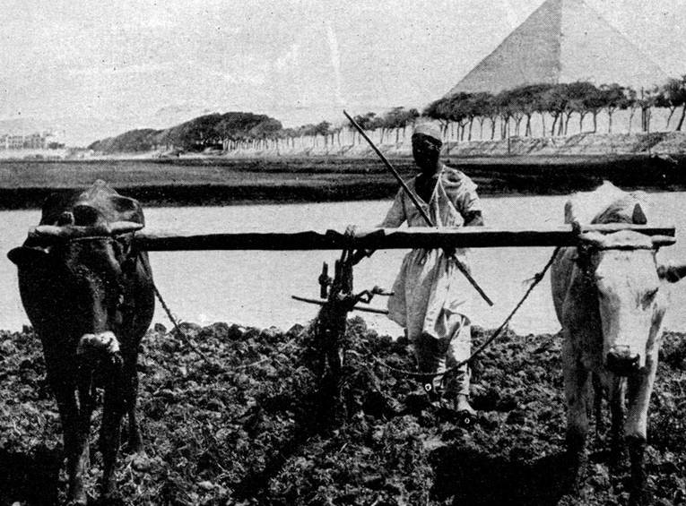cuales son los trucos para arar la huerta con el tractor