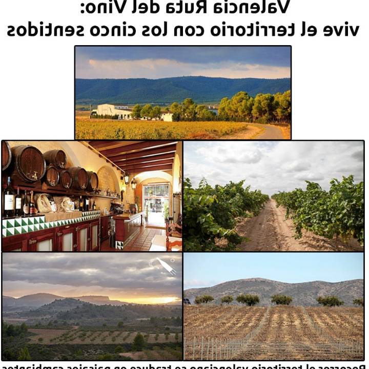 cuantos arboles necesito plantar para compensar las emisiones de co2