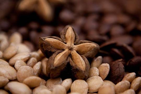cuantos kilos de semilla se necesita para sembrar una hectarea