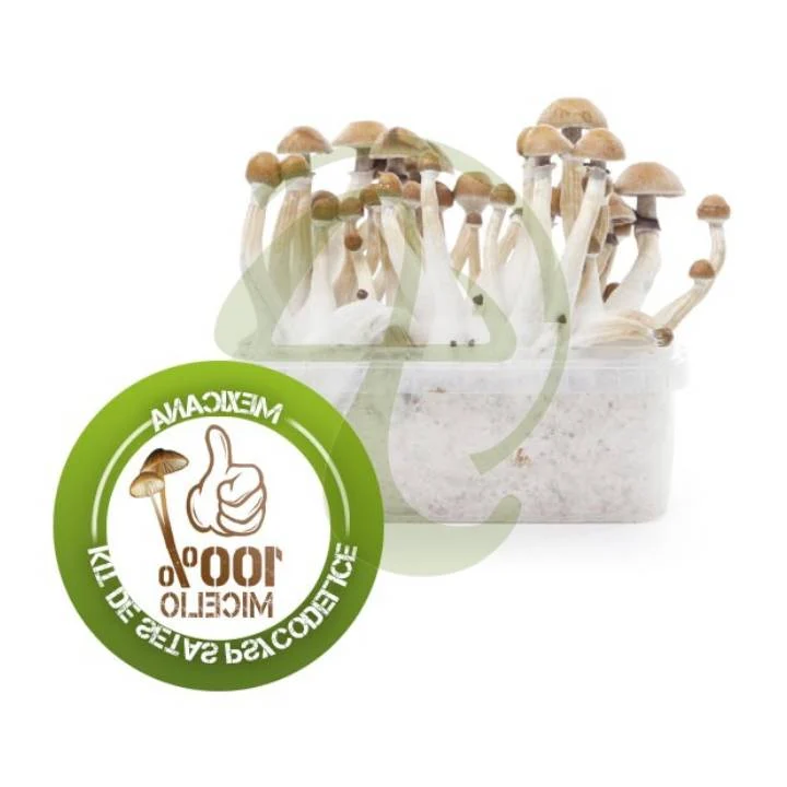 donde puedo comprar el kit de cultivo de hongos alucinogenos