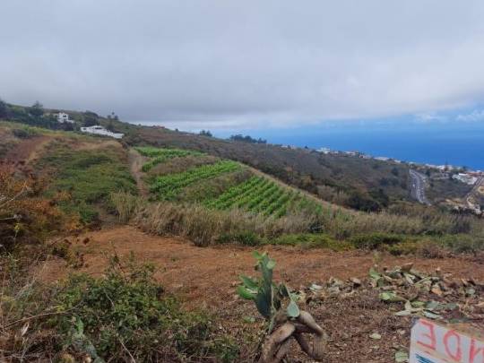 Qué es un bancal llano de cultivo en un terreno en pendiente?】