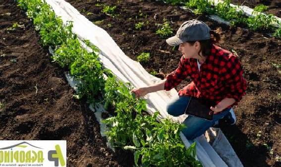 que es una persona que se dedica a cultivar la tierra